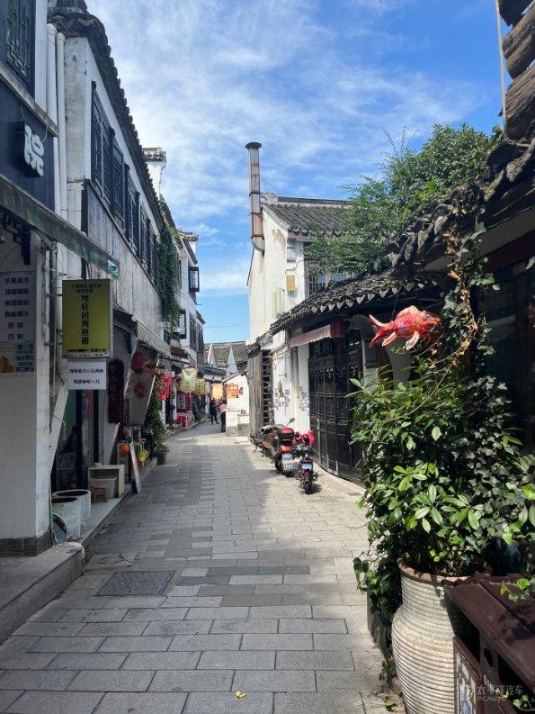 贪吃鼠吃豆豆
